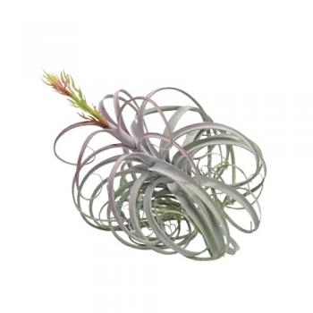 アートプランツブルーミングティランジアA フェイクプランツ 造花 ディスプレイ 観葉植物 長さ580