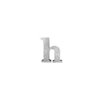 ブリキアルファベット小文字h(2個セット)インテリア イニシャル ディスプレイ エンブレム