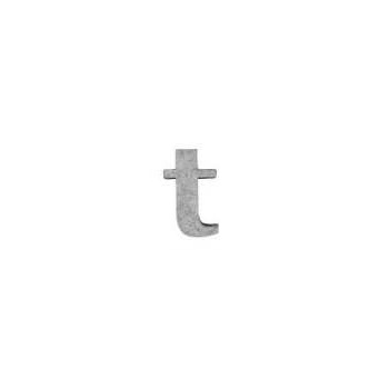 ブリキアルファベット小文字t(2個セット)インテリア イニシャル ディスプレイ エンブレム