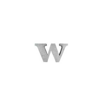 ブリキアルファベット小文字w(2個セット)インテリア イニシャル ディスプレイ エンブレム