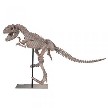 DINOSAUR TYRANNOSAURUS オブジェ ティラノサウルス かっこいい 高さ41.5