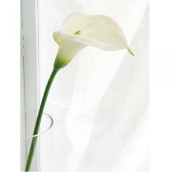 ホワイトカラー 6個セット おしゃれ ディスプレイ フェイクフラワー 造花 植物 合成樹脂