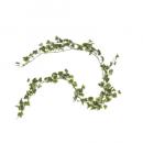 ガーランド フィリ 植物 グリーン インテリア 飾り 長さ180cm 通販