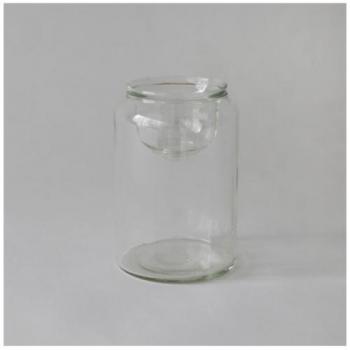 フラワーベース ガラス インテリア クリア 花瓶 通販