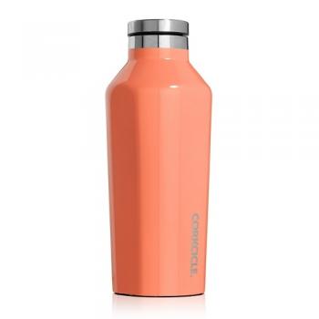 CORKCICLE CANTEEN Peach Echo 9oz 2個セット保温保冷ボトル 高さ19