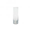ガラスウエアベースD-S ガラス雑貨 植物 ディスプレイ おしゃれ 2個セット 花瓶 高さ200