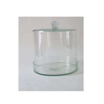 リューズガラス フードカバー カムリー (L) 保存容器 シンプル クリア 直径22
