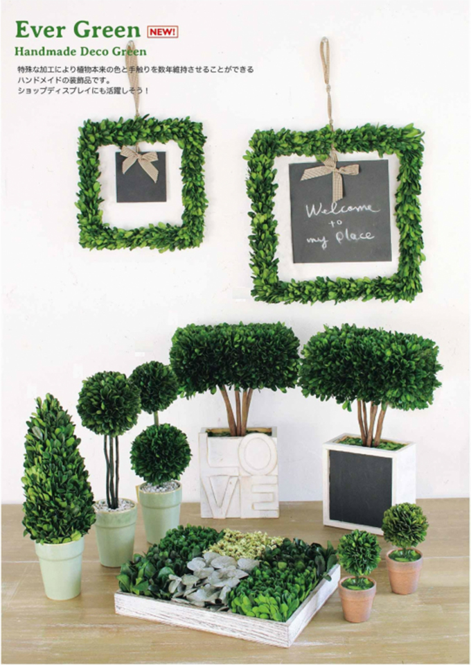 エバーグリーン デコフレーム