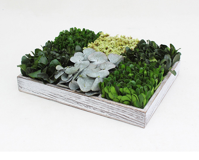 エバーグリーン デコフレーム