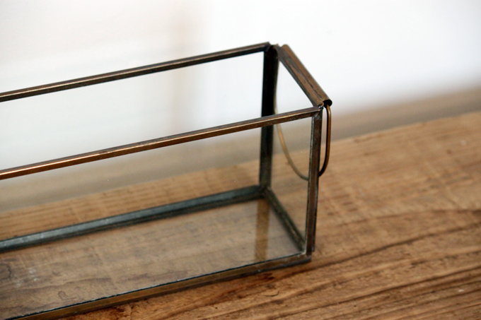 ブラスガラスケースS ガラス雑貨 植物