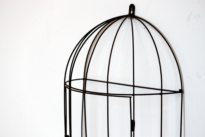 カディスバードケージフレーム　アイアン