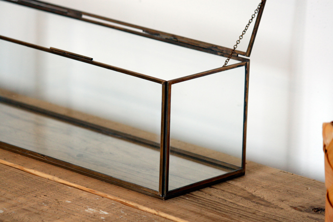 ディスプレイ おしゃれ 小物入れ テラリウム