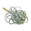 アートプランツブルーミングティランジアB フェイクプランツ 造花 ディスプレイ 観葉植物 長さ580