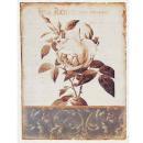 シャビー　ティンプレート　ティローズ