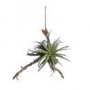 アートプランツハンギングティランジアD フェイクプランツ 造花 おしゃれ ディスプレイ 幅22