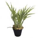 アートプランツコウモリランポットA 2個セット フェイクプランツ 造花 ディスプレイ 高さ36