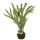 アートプランツコウモリランモスボール 2個セット フェイクプランツ 造花 ディスプレイ 高さ56