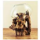 流木ガラスアクアリウム(アソート) インテリア雑貨 ディスプレイ おしゃれ 植物 直径21