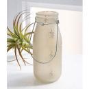 ガーニッシュ・ミルクポット 6個セット 花瓶 ナチュラル おしゃれ ディスプレイ 小物 持ち手