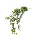 観葉植物 アイビーグリーン インテリア 飾り 室内 装飾 高さ83cm 通販
