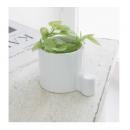 アイビーポットディフューザー・フラン 2個セット おしゃれ ディスプレイ アロマ フレグランス 造花