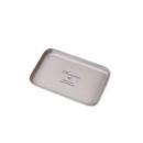 シルバートレイ スクエア型 アイアン 小物 植物 皿 トレー インテリア  通販