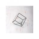 テラリウムキュービック フレームオブジェ エアープランツ ディスプレイ モビール 北欧 カフェ 盆栽