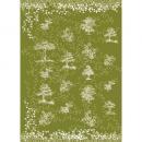 SPICE ラッピング薄用紙 グリーン 20mロール 2個セット ステーショナリー 高さ70