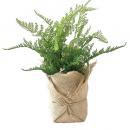 SPICE ジュートポット入りフェイクグリーン シダB 2個セット フェイクプランツ 高さ33