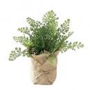 SPICE ジュートポット入りフェイクグリーン ハーブ 2個セット フェイクプランツ 高さ27