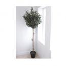 オリーブ トピアリーL イミテーション 植木 観葉植物 造花 フェイクグリーン ディスプレイ