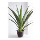 ドラセナ イミテーション 植木 観葉植物 造花 フェイクグリーン ディスプレイ