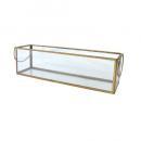 ブラスガラスケースS ガラス雑貨 植物 ディスプレイ おしゃれ 小物入れ テラリウム 持ち手