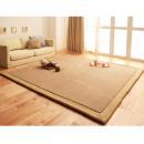 マイクロファイバーラグ【fiesta】フィエスタ