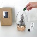 SPICE ヒノキアロマ4点セット(ヒノキオイル・ヒノキチップ・ガラスプランター・ツリー) 高さ21