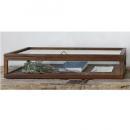 WOODフレーム ショーケース LOW (L) ガラス アンティーク調 ディスプレイ 幅75