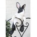 コートラビット オブジェ ディスプレイ 置物 アンティーク調 動物 ブラック かわいい 高さ37