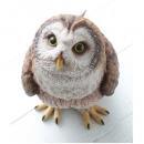 ステアー・オウル オブジェ ディスプレイ 置物 アンティーク調 動物 ブラウン 高さ29.5