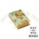 ヘイオンワイブックス グリーン 収納ボックス ヴィンテージ調 おしゃれ 世界地図 高さ20