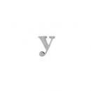 ブリキアルファベット小文字y(2個セット)インテリア イニシャル ディスプレイ エンブレム