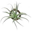 アートプランツハンギングティランジア02 フェイクプランツ 造花 ディスプレイ 観葉植物 高さ170