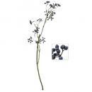 アートブランシュベリー B-BL 2個セット フェイクプランツ 造花 ディスプレイ 長さ95