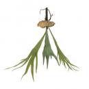 アートプランツコウモリランリーフB 2個セット フェイクプランツ 造花 ディスプレイ 長さ36