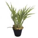 アートプランツコウモリランポットA 2個セット フェイクプランツ 造花 ディスプレイ 高さ36