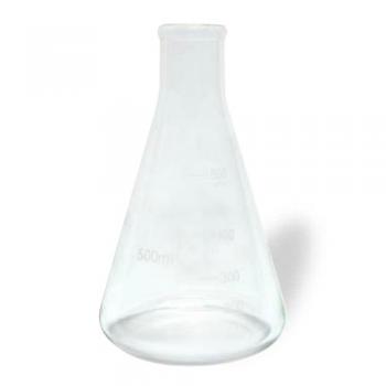 ガラスウエア三角フラスコ500ml 2個セット クリア 花瓶 フラワーベース 高さ17.5
