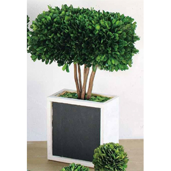 ディスプレイグリーン トピアリーキューブ おしゃれなインテリア DIY 観葉植物 黒板付き