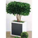 ディスプレイグリーン トピアリーキューブ おしゃれなインテリア DIY 観葉植物 黒板付き