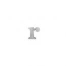 ブリキアルファベット小文字r(2個セット)インテリア イニシャル ディスプレイ エンブレム