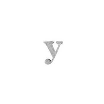 ブリキアルファベット小文字y(2個セット)インテリア イニシャル ディスプレイ エンブレム