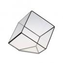 テラリウム キュービックL ブラックフレーム ガラス ディスプレイ 小物入れ おしゃれ シンプル